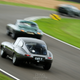 Illustration for article titled Goodwood Revival Photos